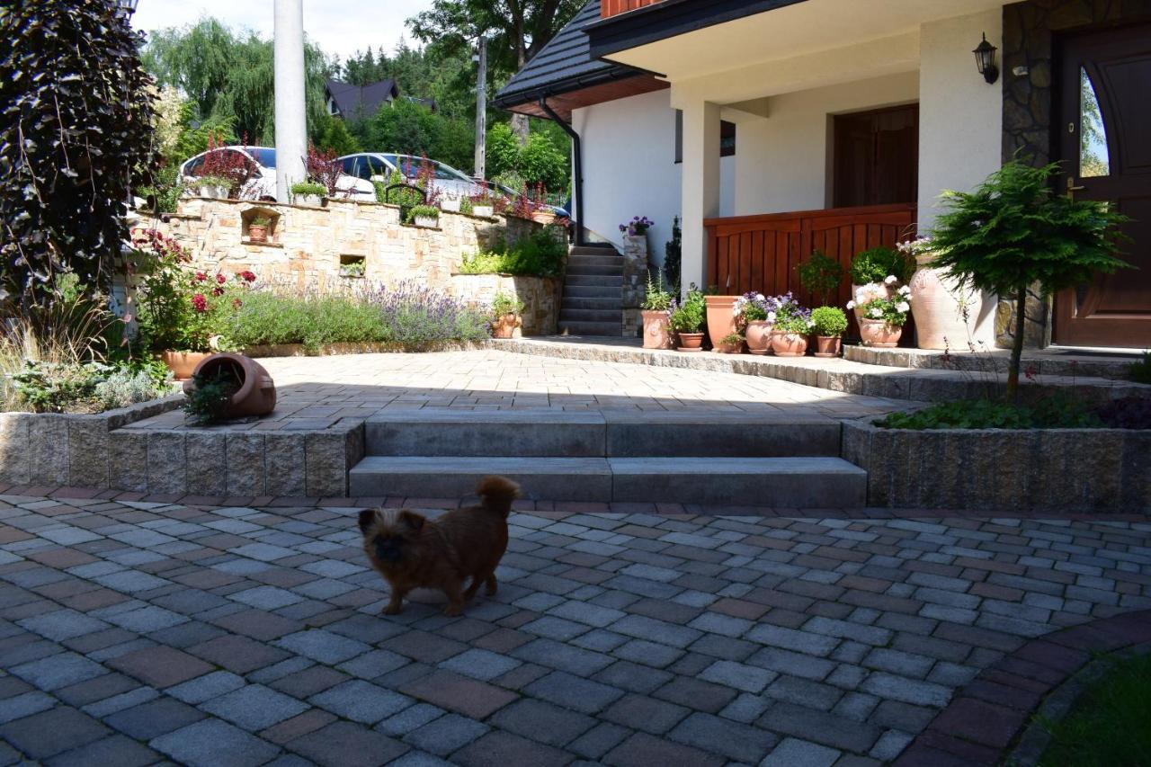 Willa Przekop Sromowce Wyzne Esterno foto