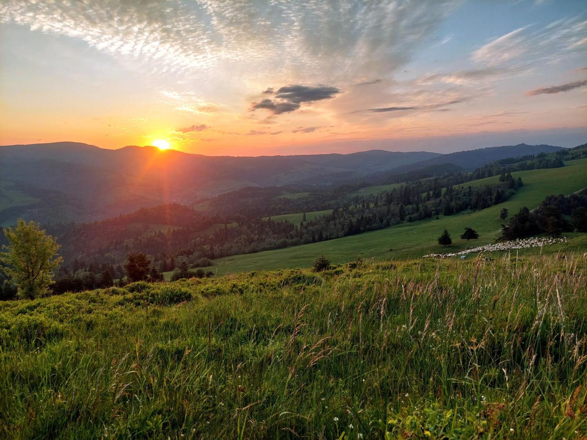 Willa Przekop Sromowce Wyzne Esterno foto